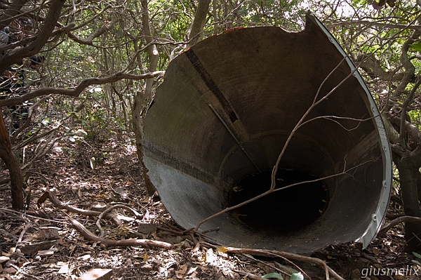 Cono di coda (40D_7173_1rid).jpg